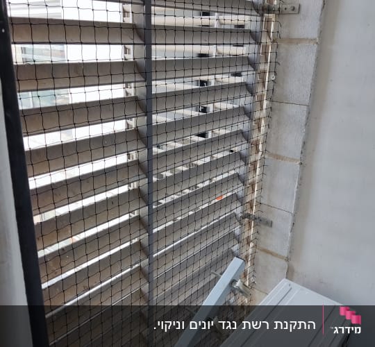 רשת למניעת כניסת יונים על חלון עם תריסים